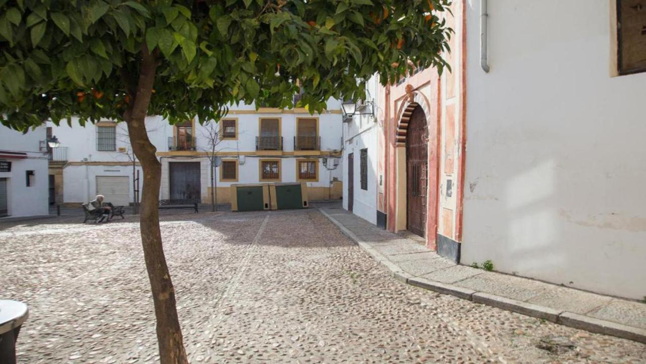 Apartamento Ilusion Andaluza Córdoba Eksteriør billede